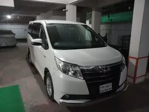 Hybrid Noah For Rent