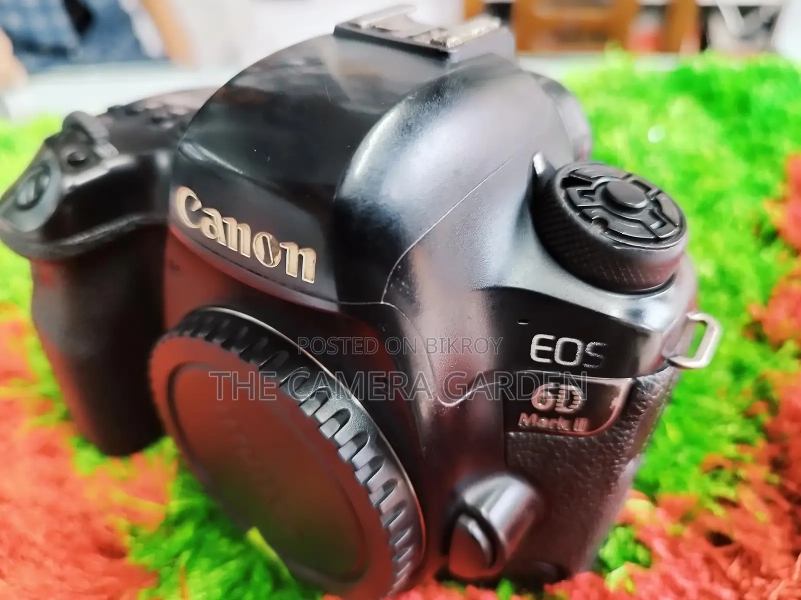 Canon 6D Mark II body full box