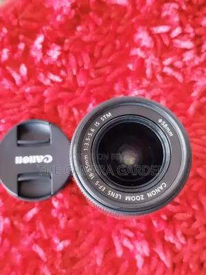 Canon 18-55mm STM Lens