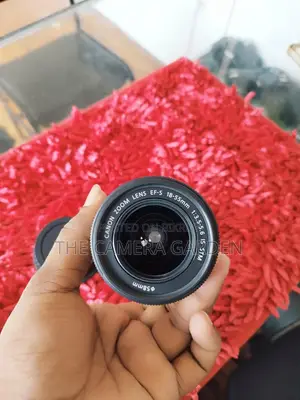 Canon 18-55mm STM Lens