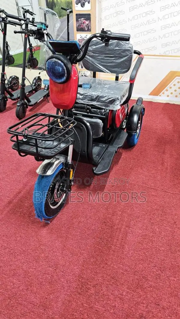 Ebike 2024