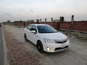 Axio for Rent