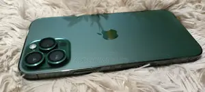 Apple iPhone 13 Pro Max 256 gb (Used)