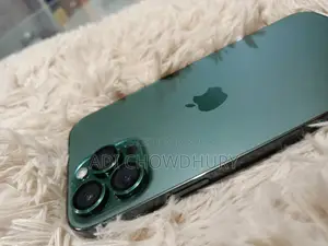 Apple iPhone 13 Pro Max 256 gb (Used)