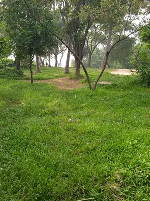 Dream Investment Land for Sale on the Banks of the Shitalakshya River, Purbachal