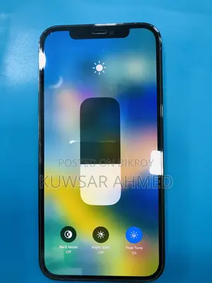 Apple iPhone 12 Pro (Used)
