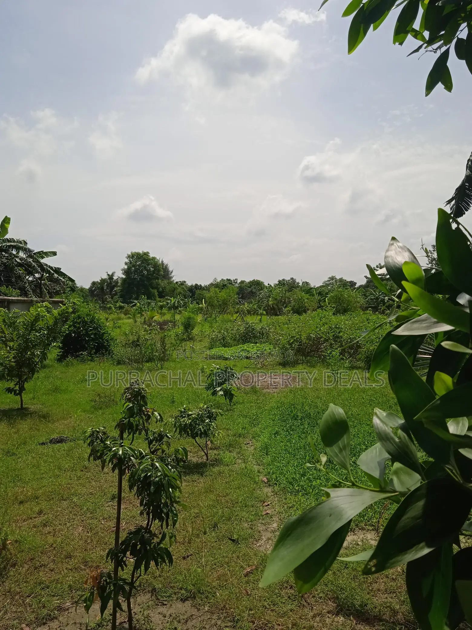 7.5 Bigha Land with Boundary Wall for Sale in Purbachal