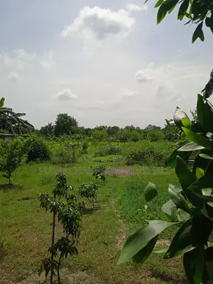 7.5 Bigha Land with Boundary Wall for Sale in Purbachal