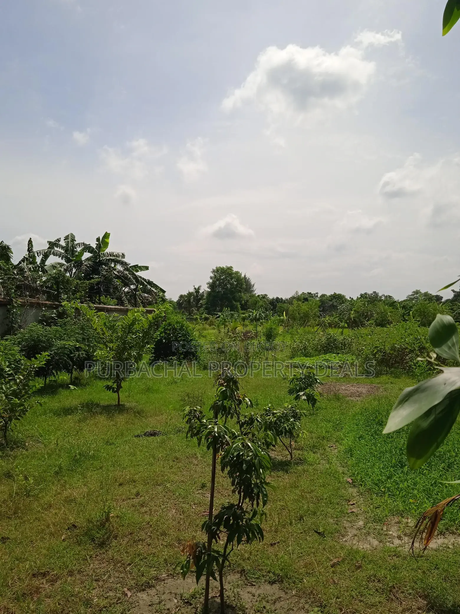 7.5 Bigha Land with Boundary Wall for Sale in Purbachal
