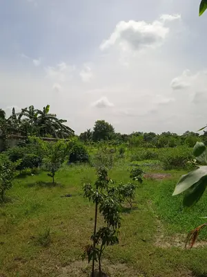 7.5 Bigha Land with Boundary Wall for Sale in Purbachal