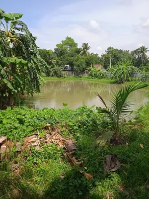 7.5 Bigha Land with Boundary Wall for Sale in Purbachal