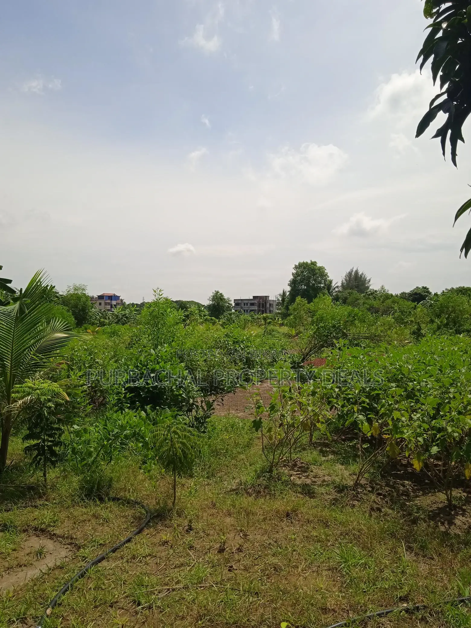 7.5 Bigha Land with Boundary Wall for Sale in Purbachal