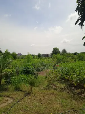 7.5 Bigha Land with Boundary Wall for Sale in Purbachal