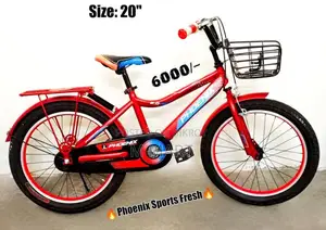 20" 8 to 16 years baby Phoenix best reconditioned full fresh