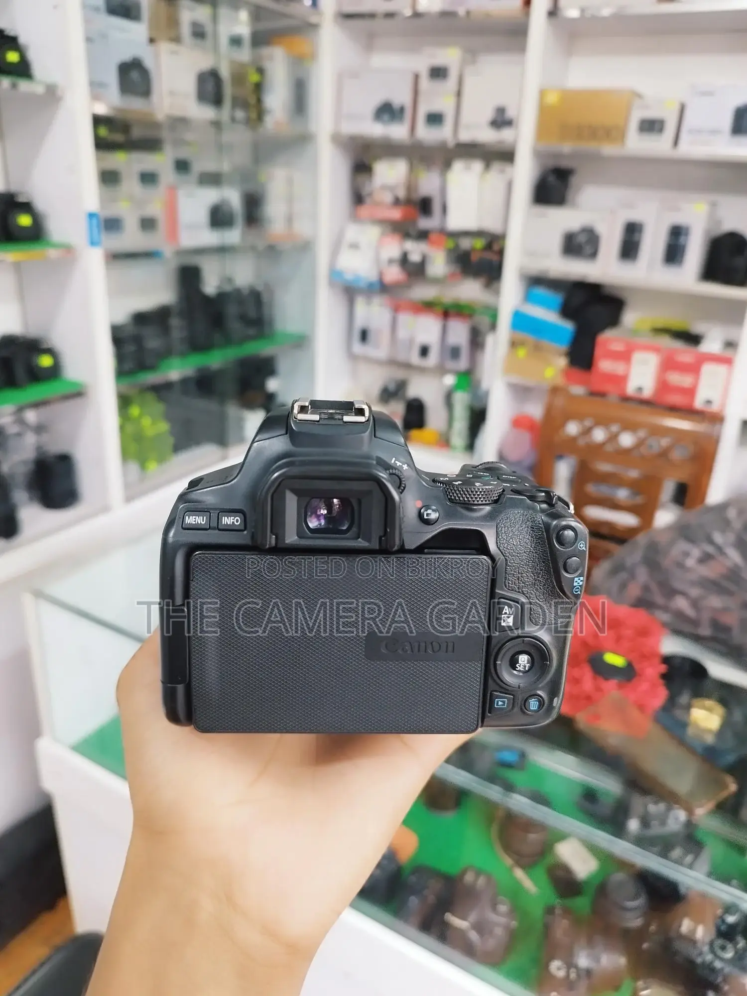 Canon 250d Body with 55 250mm Zoom
