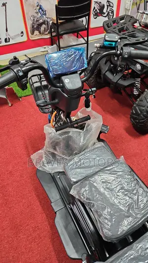 E-bike 2024
