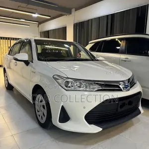 Toyota Axio Ex Hybrid 2020
