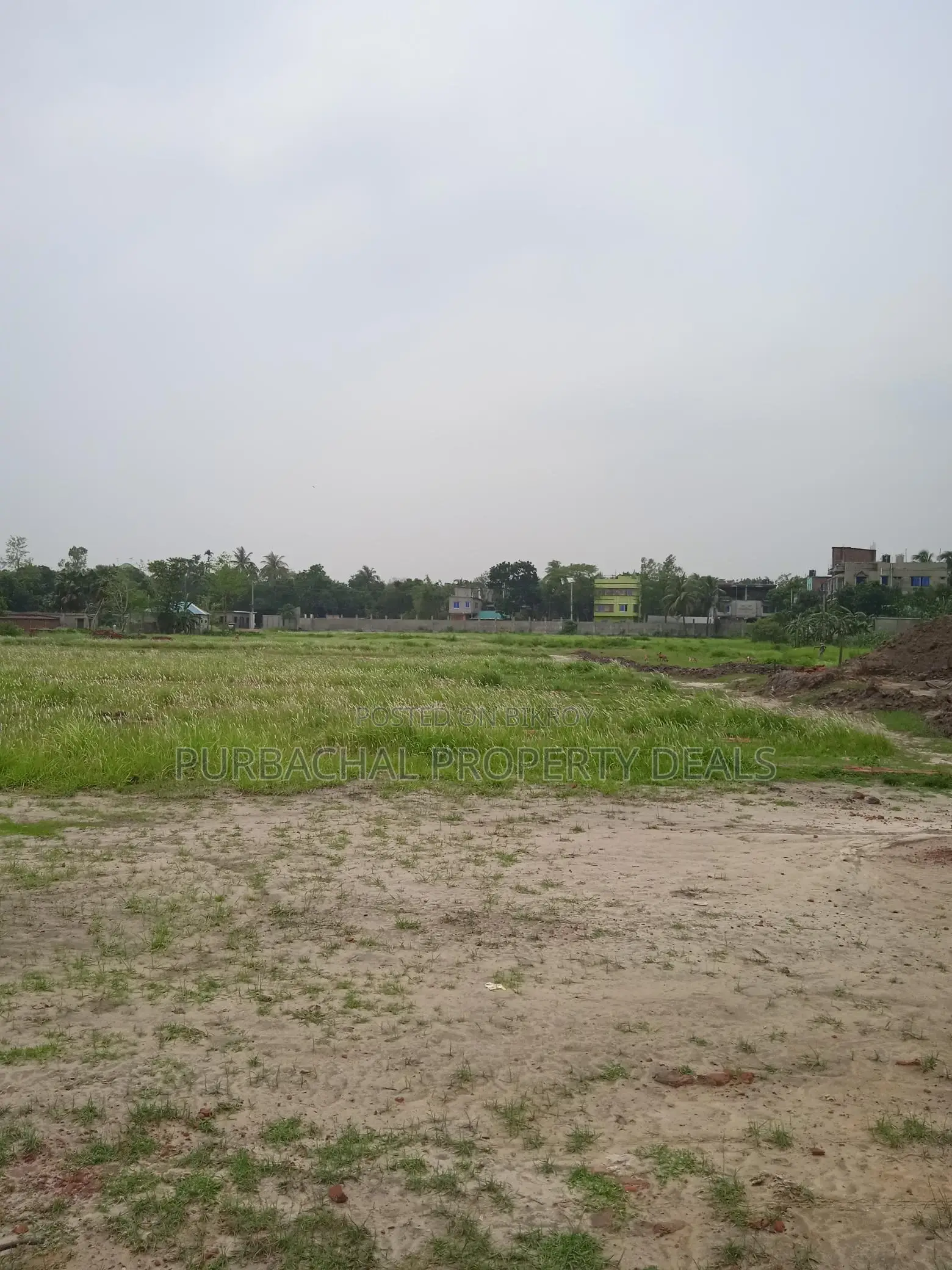 80 Bigha Premium Land on the Banks of Shitalakshya River – Safe and Profitable Investment