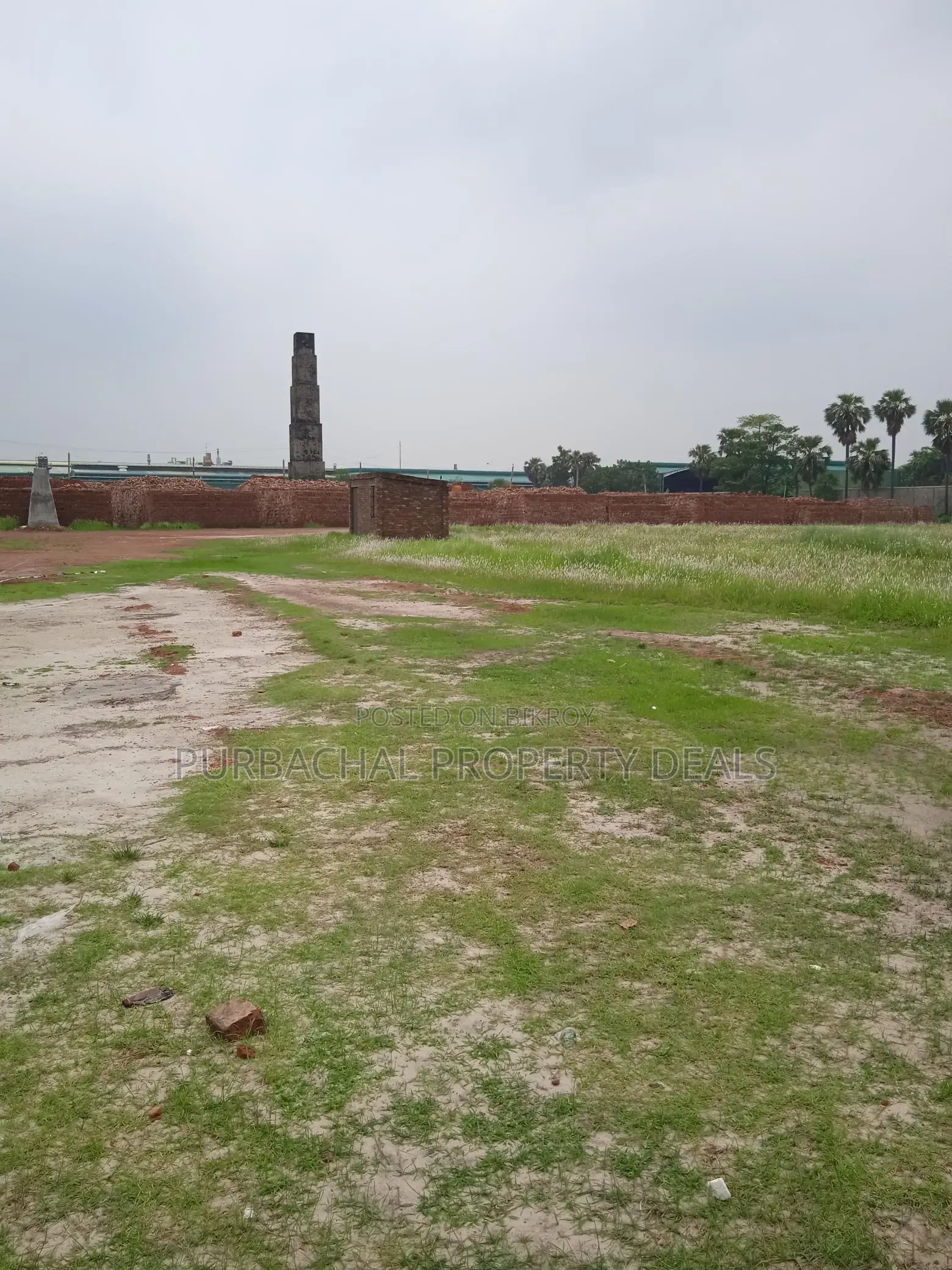 80 Bigha Premium Land on the Banks of Shitalakshya River – Safe and Profitable Investment