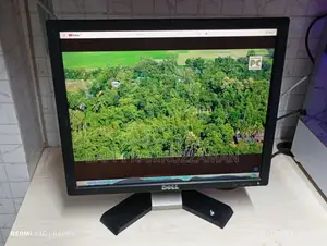 Affordable Brand Monitor (With Screen Marks)