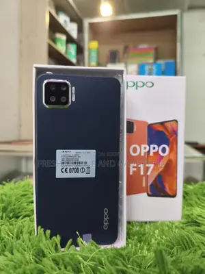 OPPO F17 8/256 (New)