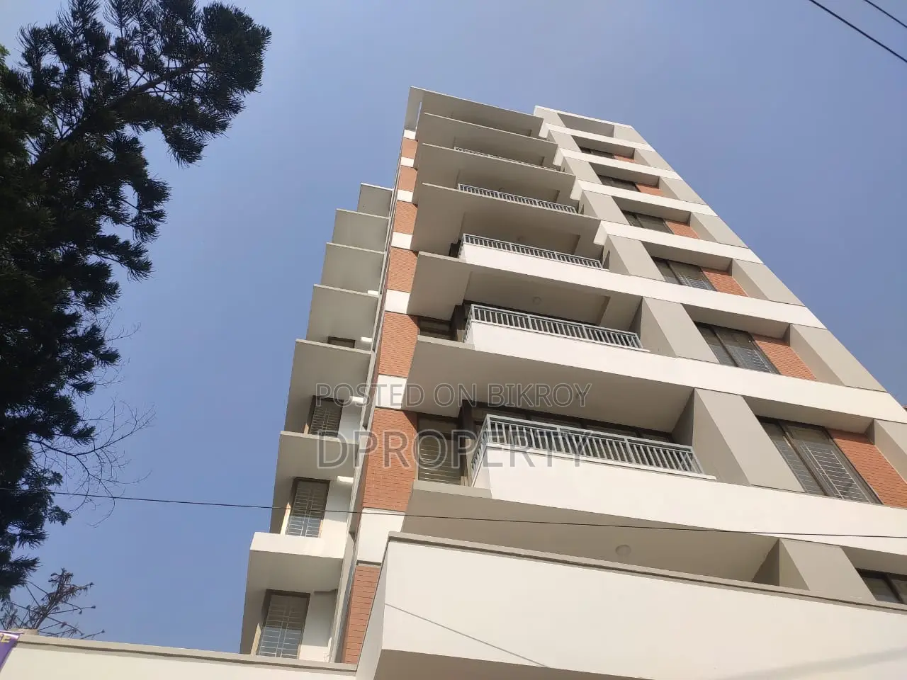 Exclusive Independent Brand New Full Building Rent in Uttara