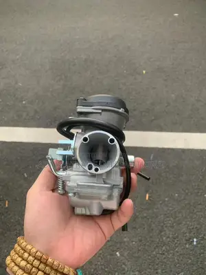 Pulsar 150 Carburetor _auto/manual with Choke/without Choke
