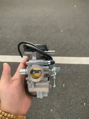 Pulsar 150 Carburetor _auto/manual with Choke/without Choke