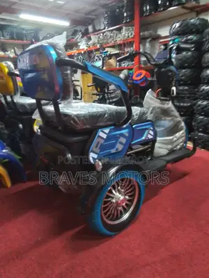 Zontes ZT310 Ebike 2024