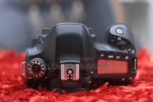 Canon 80D Body