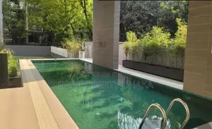 With gym and swim luxurious 4Bed 3400sft full furnished apartments