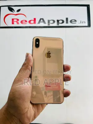 Apple iPhone XS Max 255 Gb Full Fresh (Used)