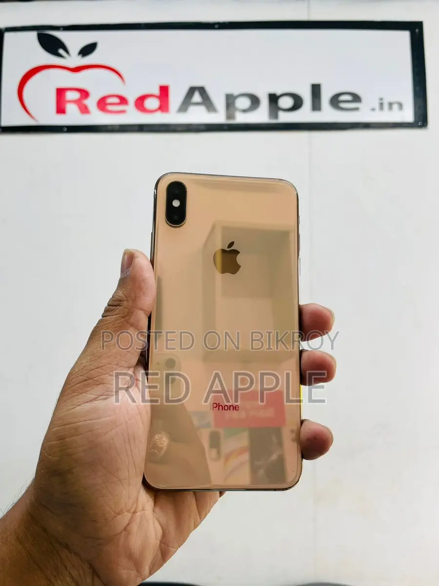 Apple iPhone XS Max 255 Gb Full Fresh (Used)