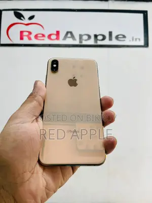 Apple iPhone XS Max 255 Gb Full Fresh (Used)