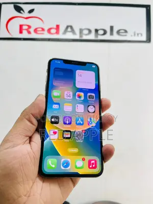 Apple iPhone XS Max 255 Gb Full Fresh (Used)