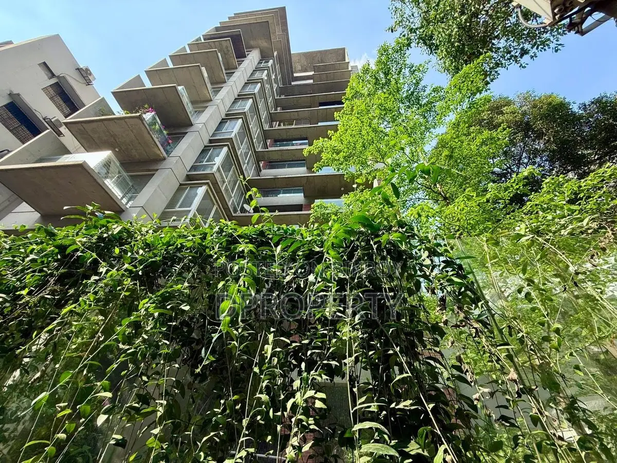 4000 Sft Brand New Full Furnished Apartment Rent at 5 Th Floor