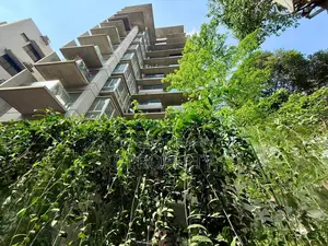 4000 Sft Brand New Full Furnished Apartment Rent at 5 Th Floor
