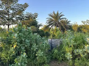 SECTOR 24, 3 KATHA LAND SALE