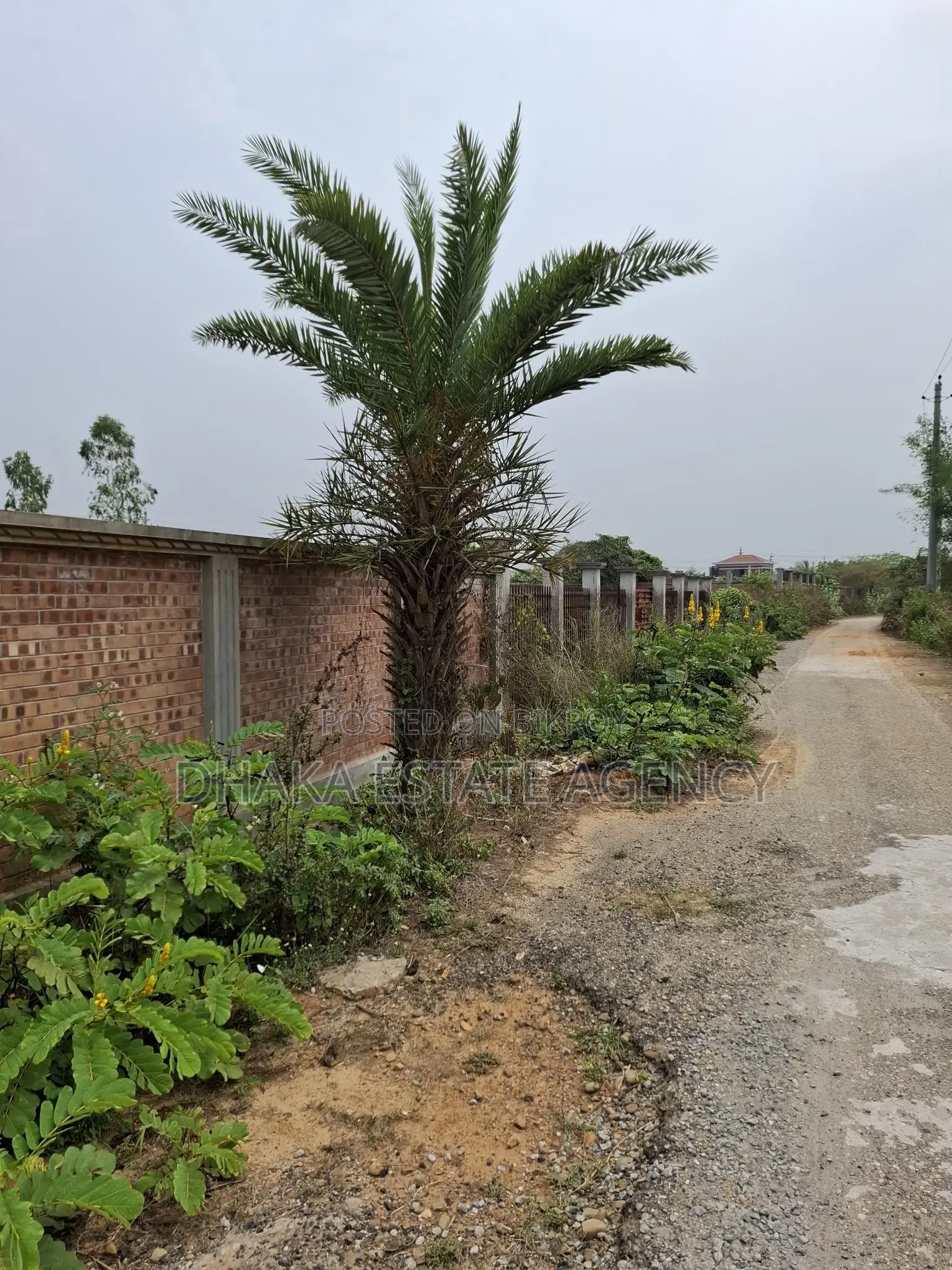5 Katha Plot @ Purbachal Sector-3