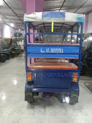 Model: 801 Small Body Bike