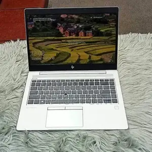 HP EliteBook Ryzen 7 Pro (16GB RAM/256GB SSD)