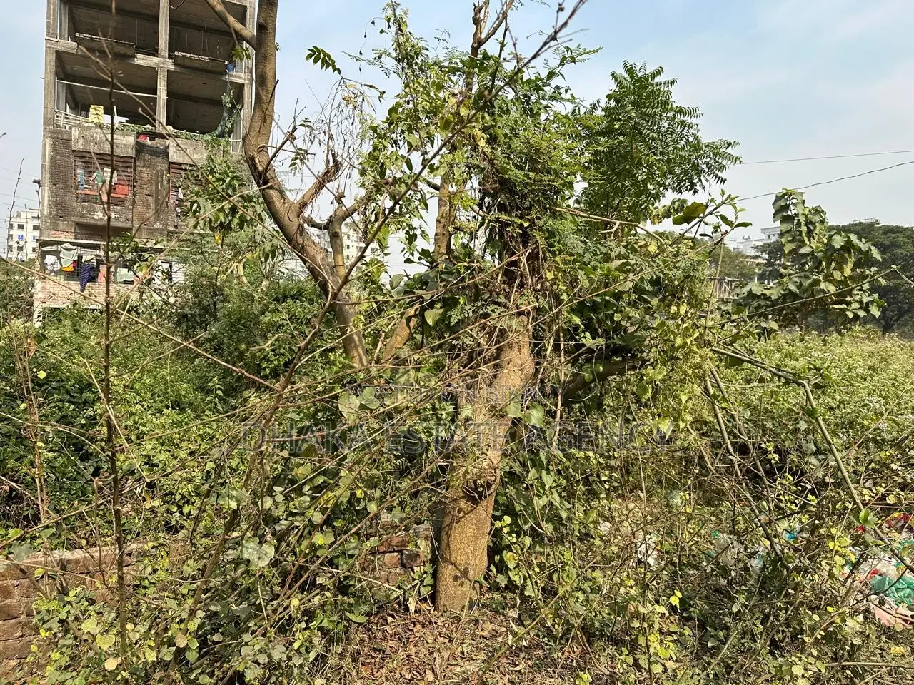 ৩+৩=৬ কাঠা জয়েন্ট প্লট বিক্রয় ১৭কে