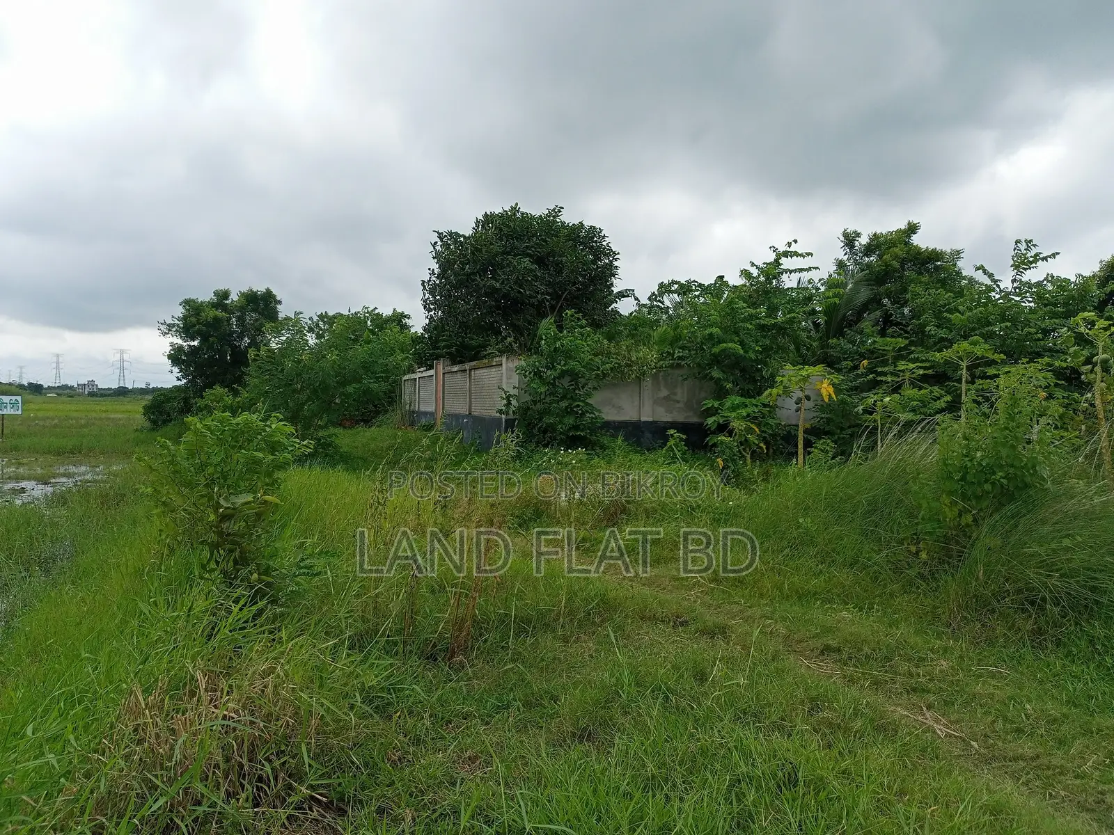 সম্পূর্ণ কোলাহলমুক্ত প্রাকৃতিক পরিবেশ @ 5 কাঠা জমি বিক্রি হইবে