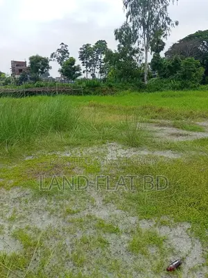 Land for sale by the road at a low price @12 Katha