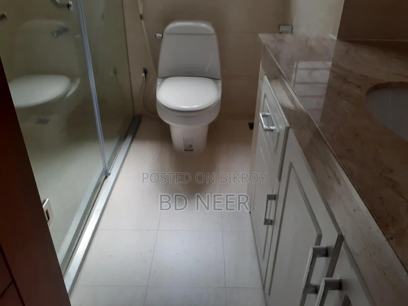 Lake View Gym Pool 4Bed Furnished Flat Rent in Gulshan-2