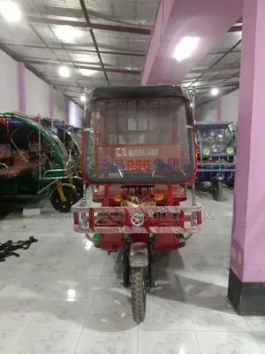 Model: 801 Small Body Bike