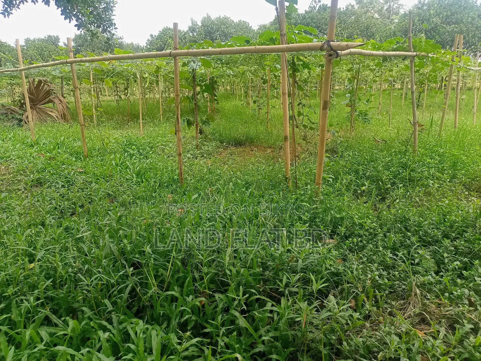 Affordable, Ready-to-Build Plots for Sale @ 3/5/10 Katha