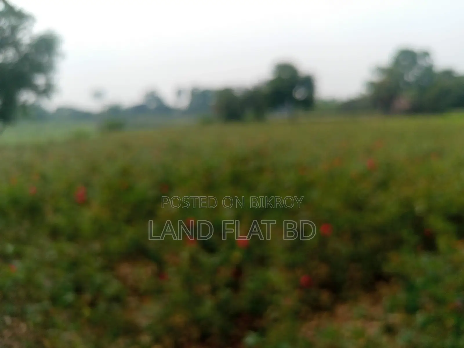 Affordable, Ready-to-Build Plots for Sale @ 3/5/10 Katha