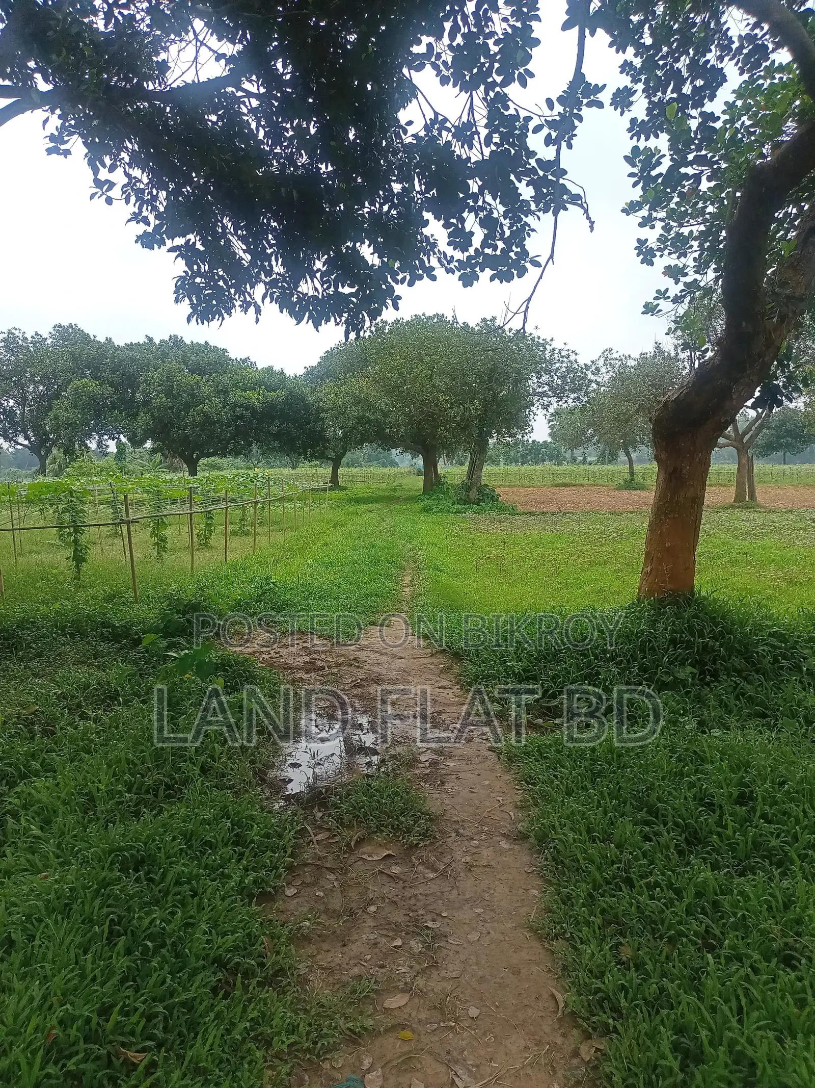 Affordable, Ready-to-Build Plots for Sale @ 3/5/10 Katha