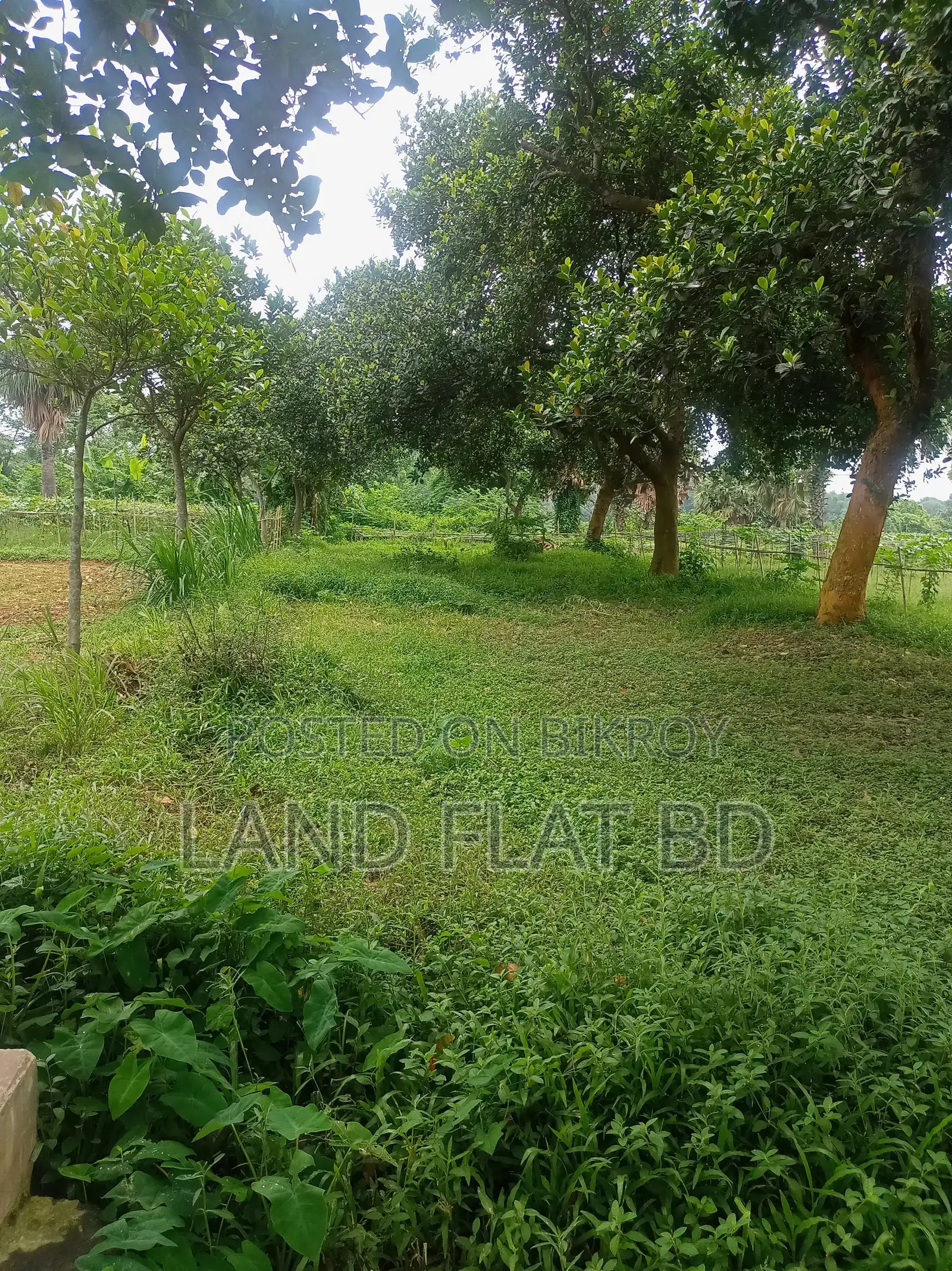 Affordable, Ready-to-Build Plots for Sale @ 3/5/10 Katha